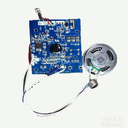 圖 電子禮品玩具廠家定制語音錄音電子玩具 深圳禮品